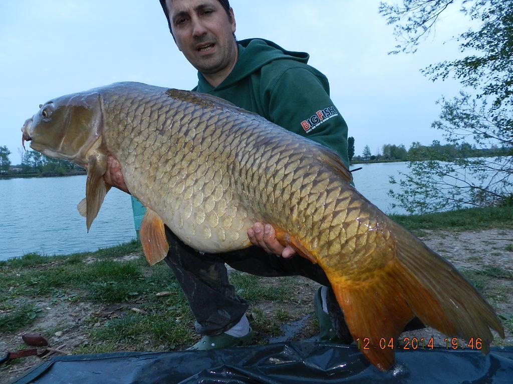 12 aprilie 2014 - dscn2122.JPG